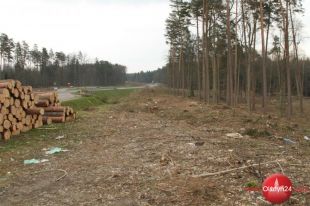 Drzew nie oszczędzą