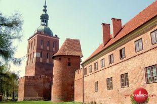 Ruszają poszukiwania pavimentum Kopernika