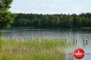 IX festyn „Lato z Gimem”