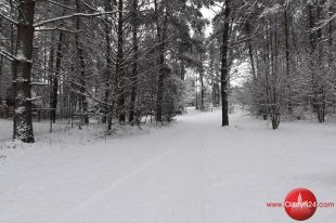 Jest mroźno - pamiętajmy o osobach bezdomnych i potrzebujących