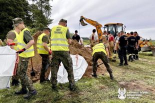 Terytorialsi na wałach