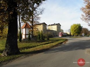 Złota aleja