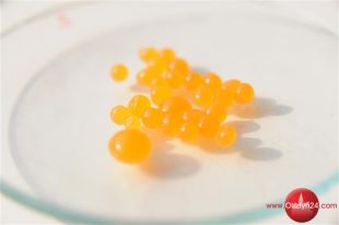 Europejska Noc Naukowców w Olsztynie - podsumowanie