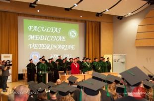 Dyplomatorium u weterynarzy