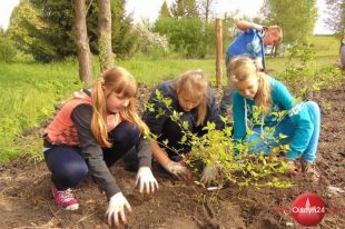 Uczniowie z Bukwałdu upiększali park w... Redykajnach