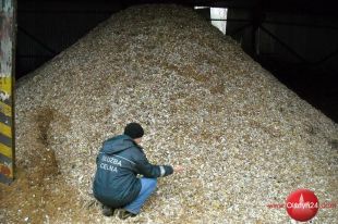 Celnicy zrobili wielkie palenie…