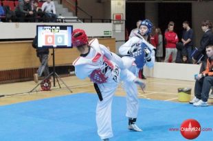 Zawody Pucharu Polski w taekwondo olimpijskim w Uranii
