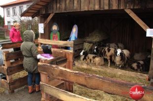 Żywe szopki atrakcją w Dywitach i Dobrym Mieście