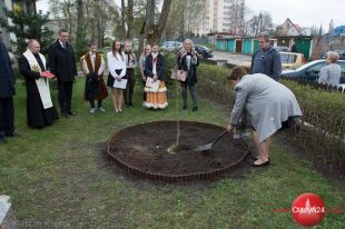 Dąb Pamięci ppor. Władysława Borżyma rośnie przy SP 9