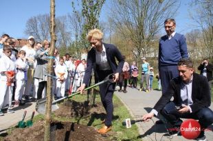 Drzewostan Olsztyna wzbogacił się o nową odmianę wiśni