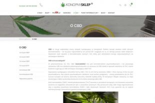 Wszystko, co warto wiedzieć o CBD