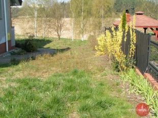 Mieszkańcy Brzezin się zeźlili (1)