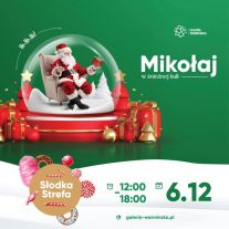 Magiczne Mikołajki w Warmińskiej Aurze – słodkie mikołajkowe szaleństwo i misiowa choinka!