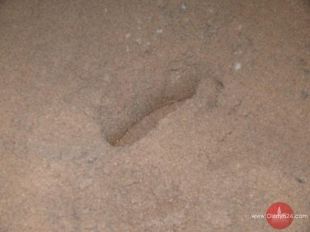 Koniec olejowej plamy?