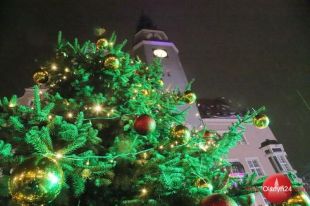 Rozpoczęło się odbieranie choinek