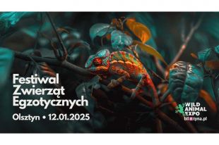 Wild Animal Expo w Olsztynie – Niezwykły Festiwal Zwierząt Egzotycznych!