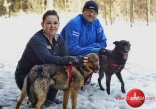 Schronisko zaprasza na grupowy „Bieg na sześć łap”