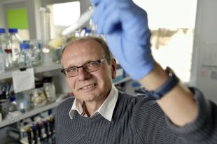 Zaawansowana matematyka nadzieją dla pacjentów z niedokrwistością Fanconiego