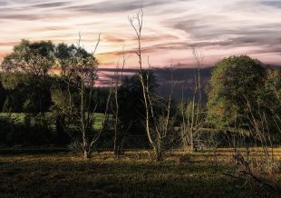 Wystawa fotografii Niezależnej Grupy Twórczej Olsztyńskich Fotografików od czwartku w WBP