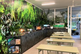 Nowe pracownie biologiczno-chemiczne w V LO