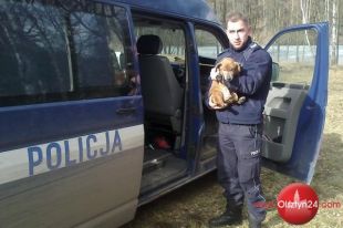 Uratowali psa od niechybnej śmierci