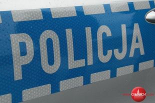 „DINO” – działania przeciw sieciowym pedofilom