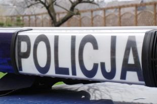 Kot sprawcą pożaru