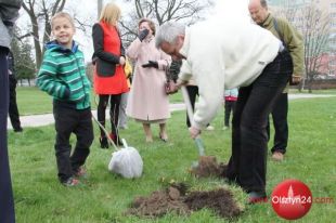 Dąb, lipa, modrzew i buk na trzeciomajowe święto 