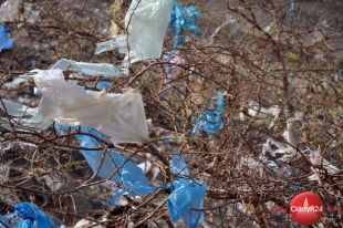 Torba plastikowa czy materiałowa?  To, w czym nosisz zakupy ma znaczenie