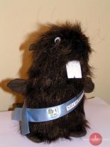 Nasze pamiątki nagrodzone