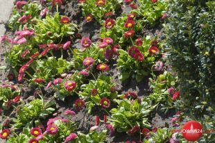 Olsztyn w wiosennych barwach