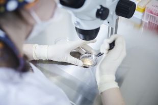 In vitro z komórką dawczyni przychodzi z pomocą niepłodnym parom 