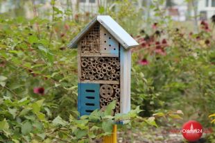 Samorząd województwa przydzielił pieniądze na drzewa i krzewy miododajne
