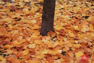 Szukamy miejsca dialogu 