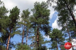 Samorządowcy rozmawiali o utworzeniu w regionie parku narodowego