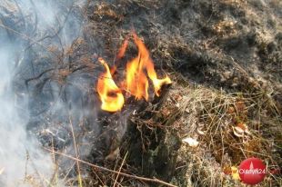 Strażacy i leśnicy apelują: stop pożarom traw!