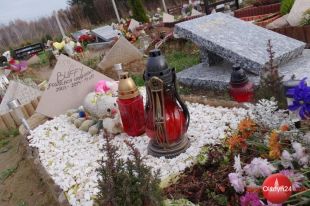 Apel o cmentarz dla zwierząt – ciąg dalszy