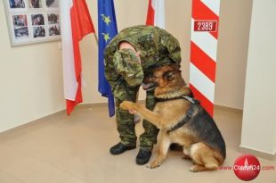 Fuks na zasłużonej emeryturze