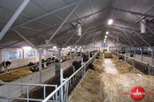 Rolnicy nie mogą płacić za zaniedbania rządzących