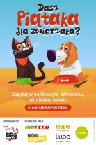 Zwierzaki potrzebują wsparcia. „Bieg na 6 łap” proponuje udział w niecodziennej akcji
