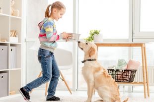 Karma dla psa - najlepszy wybór dla Twojego czworonoga!